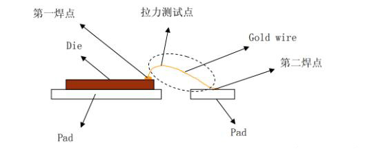 拉力测试示意图.jpeg